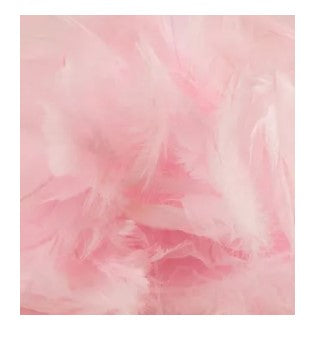 Eleganza Feathers Mixed sizes 3inch-5inch Light Pink No.21 - (50g bag)