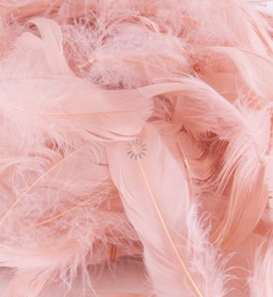 Feathers Mixed sizes 3inch-5inch Rose Gold No.87 (50g bag)