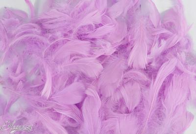 Eleganza Feathers Mixed sizes 3-5inch Pastel Lavender No.45 ( 50g bag )
