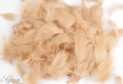 Eleganza Feathers Mixed sizes 3-5inch Blush No.80 (50g bag)