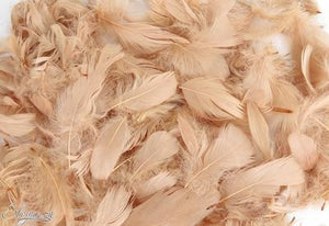Eleganza Feathers Mixed sizes 3-5inch Natural No.02 ( 50g bag )