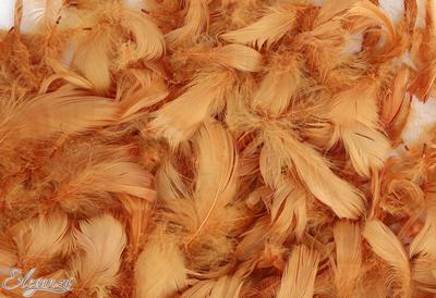 Eleganza Feathers Mixed sizes 3-5inch Copper No.23 (50g bag )