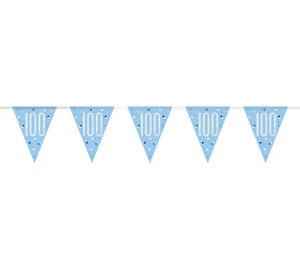 Birthday Blue Glitz Number 100 Flag Banner (9 ft)