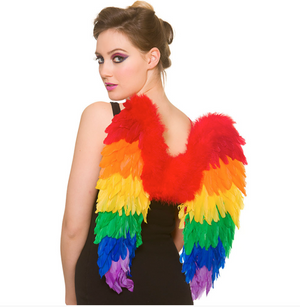 Rainbow Feather Wings (50x50cm)