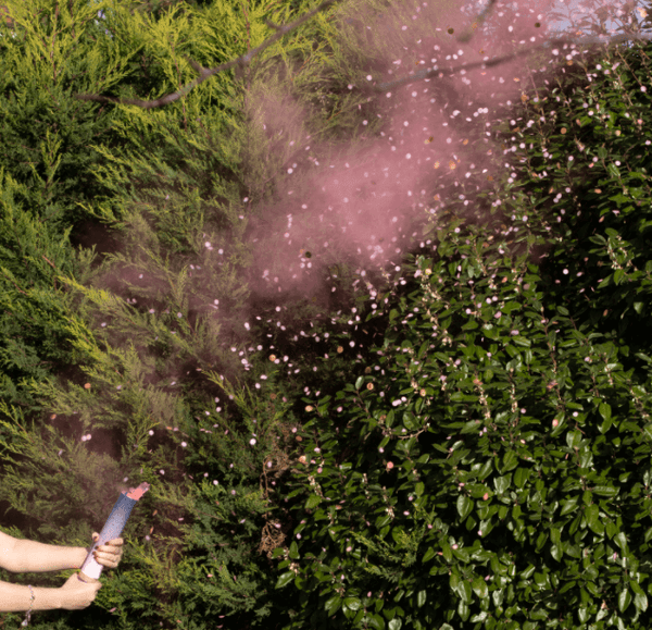 Pink Gender Reveal Smoke Cannon With Confetti