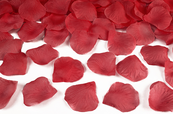 Rose petals in a bag - red (100 Pack)
