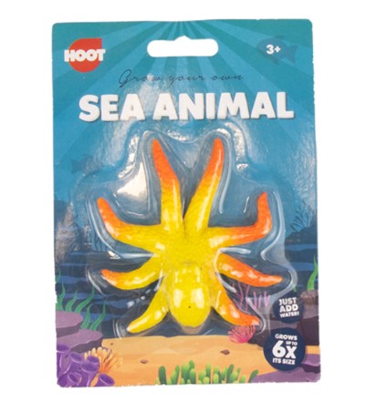 Grow Your Own Sea Animal in 6 Different Designs