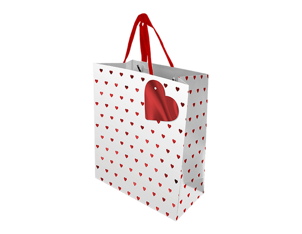 Valentine's Day Medium Gift Bag