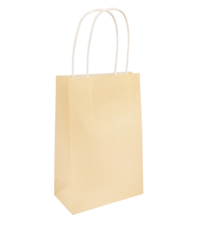 Ivory Paper Party Bag with Handles