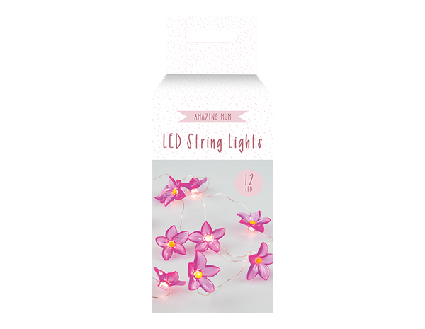 Mother's Day 12 LED Micro Lights